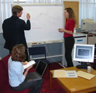 Consulting