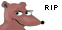 Rodent Invasion Project