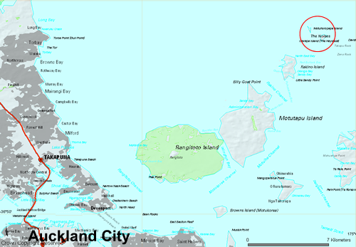 Noises in relation to Auckland City