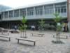 IMG_2990.jpg (186kb)