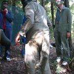 Brian McArdle's bottom