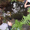 Boys checking for eels