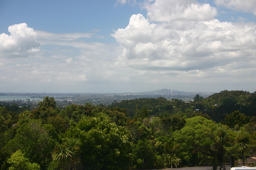 Auckland28.jpg
