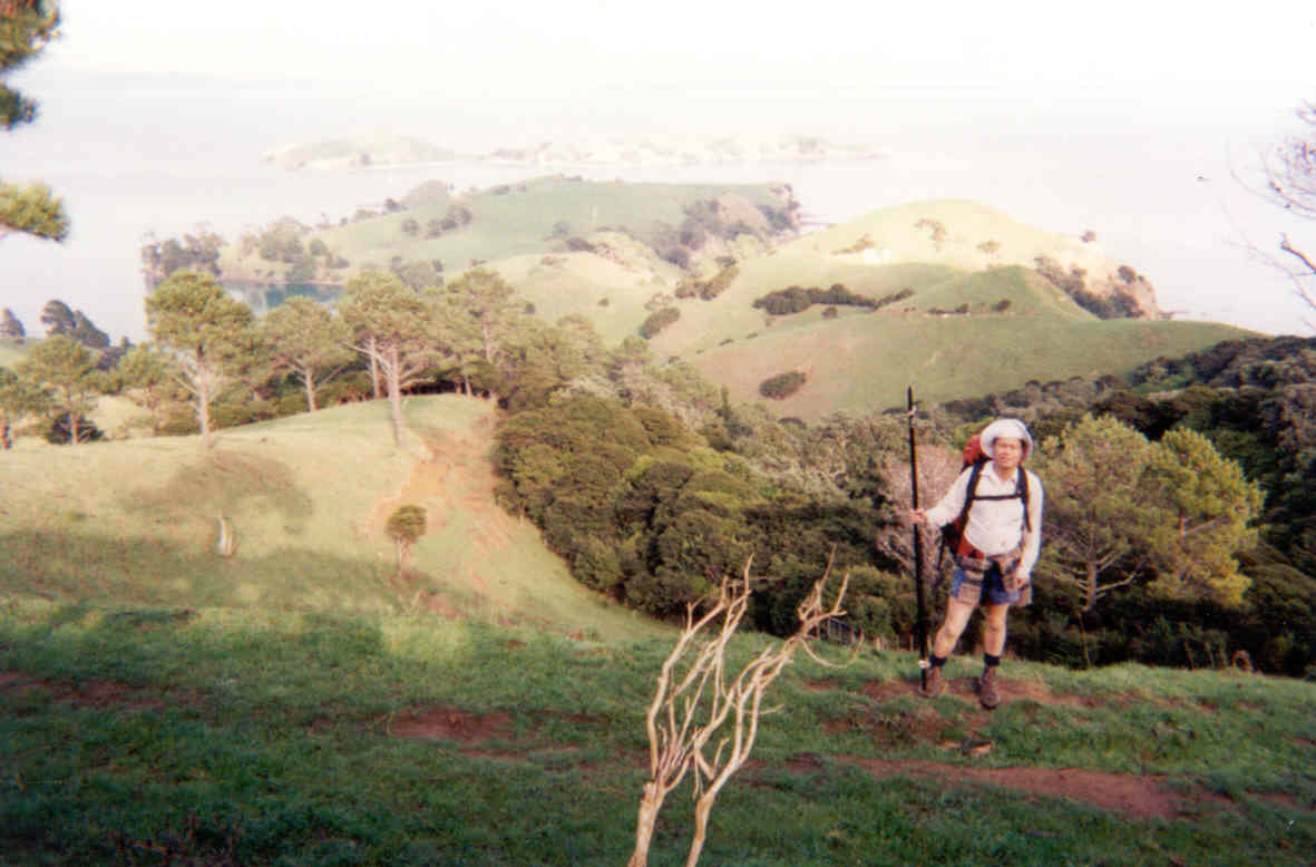 Coromandel 1