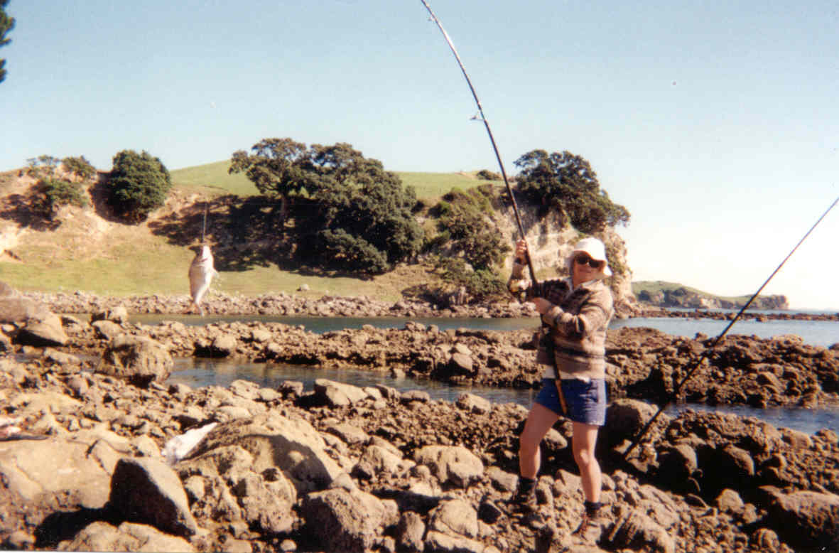 Coromandel 2
