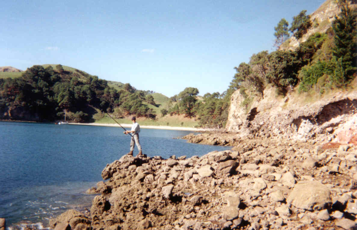 Coromandel 3